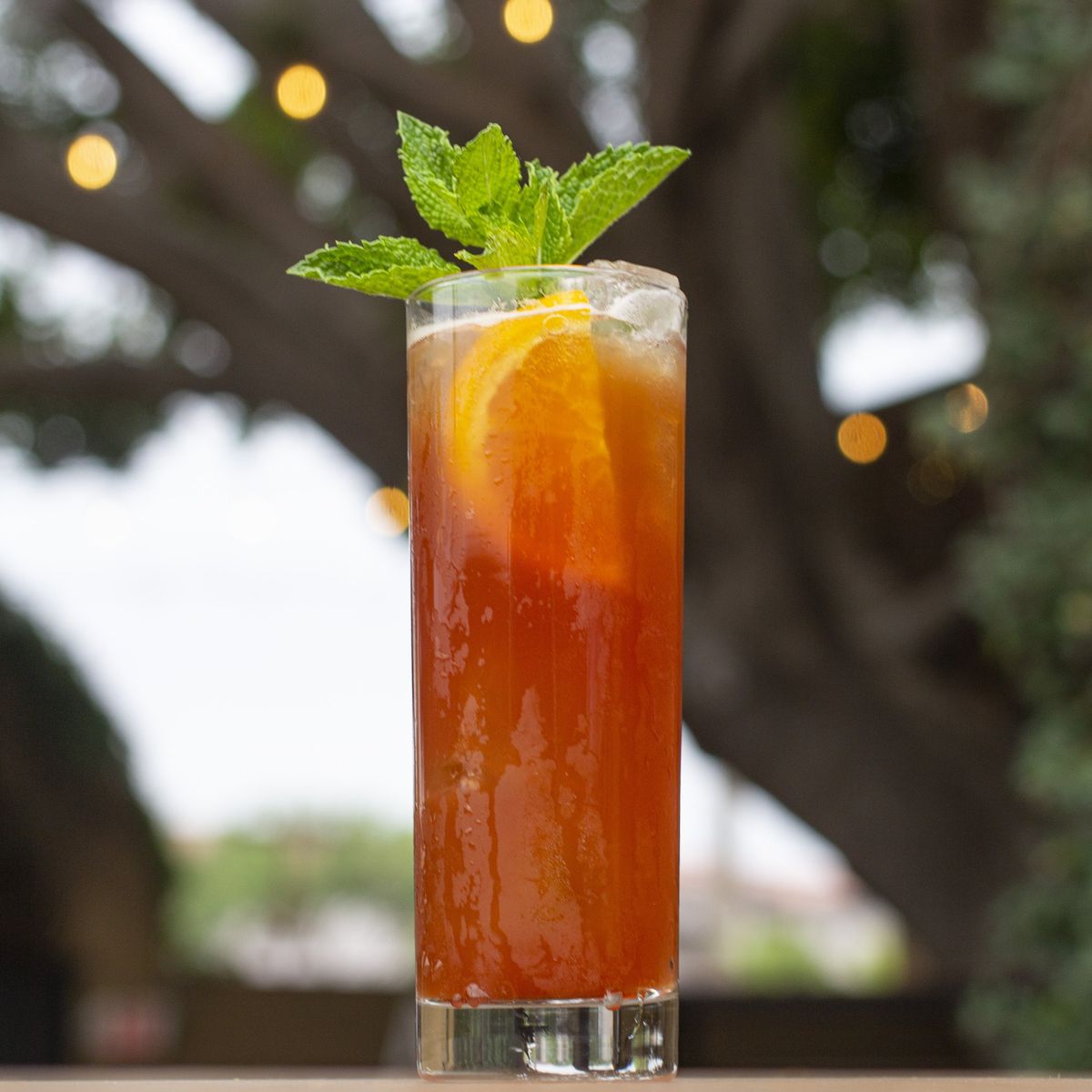 Tall cocktail on the patio under the ficus tree